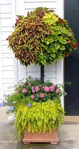 Basket Column Photo Gallery Garden Containers Container Gardening Plants