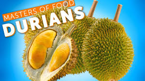 Risultati immagini per durian