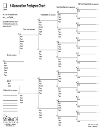 23 Printable Pedigree Templates Forms Fillable Samples In