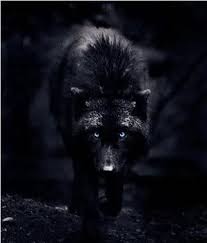 Really Want A Wolf Tattoo Wolven Wolven Kunst