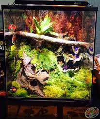 A Custom Zoo Med Habitat That Was Raffled At The August 2014 Petaluma Reptile Expo Reptile Expo Reptile Terrarium Lizard Habitat