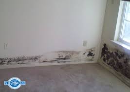 This gives the solution time to actively break down and kill the mold spores. Pin On Mold Removal