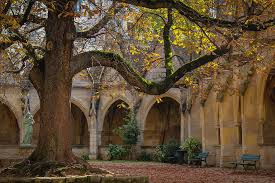 St Severin Church in Paris Photograph by Glenn DiPaola