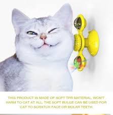 Pin On Cat Supplies