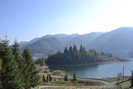 La munte și la mare se află pe primul. Asfalt Ca N PalmÄƒ PanÄƒ In StaÈ›iunea ColibiÈ›a Din BistriÈ›a NÄƒsÄƒud CunoscutÄƒ Drept Marea De La Munte Foto Video