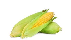 100 gram daun katuk, rebus sebntar, cincang. 7 Manfaat Jagung Untuk Ibu Hamil Bunda Perlu Tahu