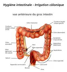 Il n'y a aucun danger à la pratiquer : Hydrotherapie Du Colon Irrigation Colonique Hygiene Intestinale