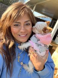 Yorkie Haircut Advice and Experiences