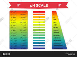 Ph Scale Chart Vector Vector Photo Free Trial Bigstock