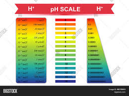 ph scale chart vector vector photo free trial bigstock