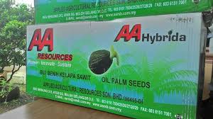 Maybe you would like to learn more about one of these? The Best Choice Of Tambirat Oil Palm Seedlings Nursery Facebook