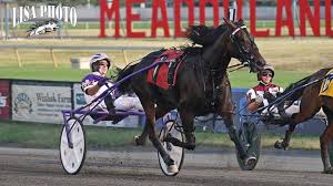 The game have 6 race horses. Bill That Would Provide 20m To Horse Racing Moving Forward In N J Tapinto