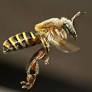 Día Mundial de las Abejas: mujeres indígenas de Perú lideran proyectos para conservar polinizadores