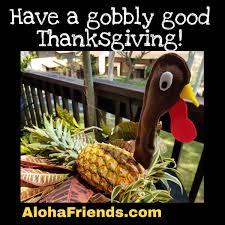 Hawaii stuff from my books! Pineappleturkey Hashtag On Twitter