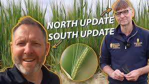 Mark Hosford from Southern Fuel & Farm, Drilling winter cereals in  November.