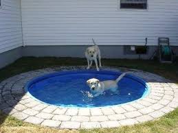 Place A Plastic Kiddie Pool In The Ground Looks Nicer Then Take It Out In Colder Months And Have A Fire Pit Woah Dogadaki Etkinlikler Arka Bahceler Ve Kopek Kulubeleri