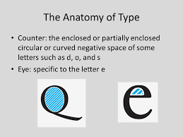 The Elements Of Typography The Anatomy Of Type Baseline The Invisible Line Where Letters Sit Ppt Download