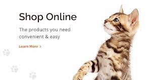 Check spelling or type a new query. Welcome To Pet Doctor Your Family Veterinarian In Tucson