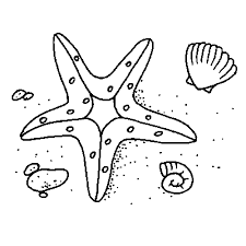 Coloring Page Starfish Coloring Pages Pokemon Coloring Coloring Books