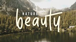 Non Copyrighted Classical Background Music Orchestral Instrumental Music Fre Copyright Youtube