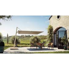 Image result for Nidorella umbrosa