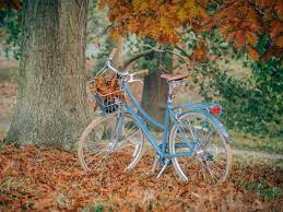 In april 2018, the united nations declared 3 june of every year as world bicycle day. World Bicycle Day 2021 Date Logo Theme History Facts Events Activities Quotes