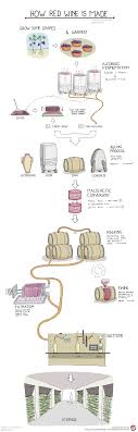 how is red wine made wine folly