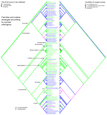 Image result for Wiesneria