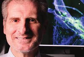 weillcornellmedicine