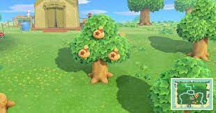 As an avid animal crossing fan, i am glad to see they brought some of the older features to the new game. Acnh Money Tree Guide How To Grow Limit Animal Crossing Gamewith