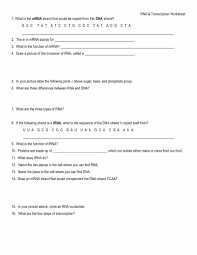 Dna And Replication Worksheet Dna And Replication Worksheet Answers Label The Transcription And Translation Dna Transcription Dna Transcription And Translation