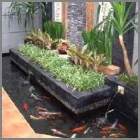 Kiat Kiat Mengecat Kolam Edupaint