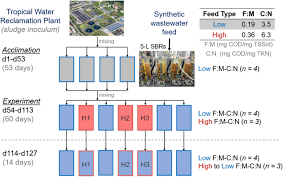 75, pot fi considerate ca atingeri aduse vieţii private: Sustained Organic Loading Disturbance Favors Nitrite Accumulation In Bioreactors With Variable Resistance Recovery And Resilience Of Nitrification And Nitrifiers Scientific Reports