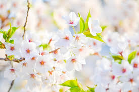 Springs are false breakouts that can trap the unsuspecting trader. This Week In Spring Releases Podcasts Tutorials And More Dzone Java