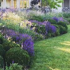 Find the best free stock images about beautiful flowers. Yass Garden Paul Bangay Garden Lovers Hardscape Country Gardening