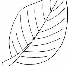 Berikut ini merupakan lukisan hitam putih bunga. Lukisan Daun Hitam Putih Cikimm Com