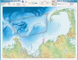 Not Many People Know About This Whale Sanctuary Right Here In Massachusetts Whale Watching Cape Cod Whale Watching Boat Whale