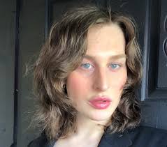 Image result for Emilia transvaalensis