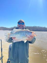 We faught for every last one...