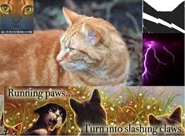 Cat wallpaper hd, cute, kitty backgrounds 🐱😻. 70 Warrior Cats Wallpaper Desktop On Wallpapersafari