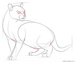 How To Draw An Ocelot Step By Step Drawing Tutorials Drawing Tutorial Leopard Sketch Drawings