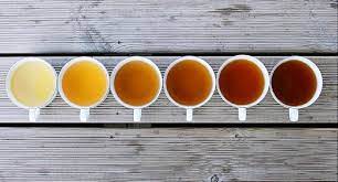 Slideshow Tooth Discoloration Foods That Stain Your Teeth Webmd Fennel Tea Food Food Stains