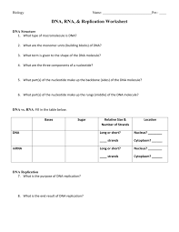 The four nucleotides are adenine, cytosine, guanine and thymine. Dna To Protein Worksheet