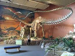 Check spelling or type a new query. Seismosaurus At The New Mexico Natural History Museum In Albuquerque Natural History Fossil Museum Animal Skeletons