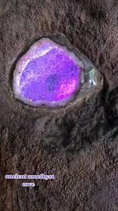 Check spelling or type a new query. Thecrystalcastle Hashtag Videos On Tiktok