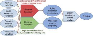 And right now, the way vaccines are the reality is: Vaccination In The Elderly The Challenge Of Immune Changes With Aging Sciencedirect
