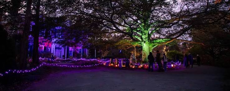 Halloween on the Hill - The Trustees of Reservations