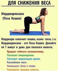 760 otmetok nravitsya 7 kommentariev dieta dieta 28 v instagram ochen pole gym workout for beginners holistic approach to health workout for beginners