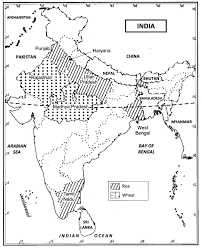 Miller/spoolmanliving in the environment 17th chapter 12 food, soil, and pest management. Class 12 Geography Ncert Solutions Chapter 5 Land Resources And Agriculture Learn Cbse