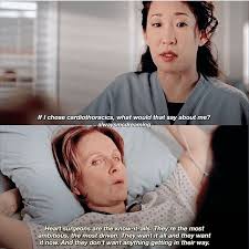 You are liter, y my favorite person in the world, chris. If That Ain T Cristina Grey Anatomy Quotes Greys Anatomy Memes Greys Anatomy